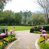 Kreative Led Solar Garten Licht Outdoor Flamingo Form Nacht Wasserdichte Rasen Landschaft Lampe Für Haus Hof Terrasse Dekoration