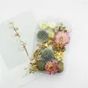 Dekorativa blommor kreativa torkade blommorboxfestfestljus Epoxy harts h￤nge halsband smycken g￶r hantverk diy