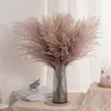 30st. Real Torked Reed Flowers Bouquet Home Wedding Decoration Table Flores Preservadas Natural Pampas Grass Decor för rum 0614