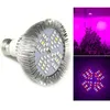 Grow Lights 48 Led Light Hydroponics Indoor Greenhouse Lampe de culture de légumes Green House pour Flower Plant Bulbs Full Spectrum Planter