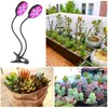 Kweeklichten LED -licht Volledig spectrum PHYTO LAMP USB PORT 4/8/12H TIMER 3 MODEN VOOR PLANTEN Zaailingen Bloem binnenkast