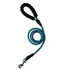 Dog Collars Pet Leash Nylon Training With Luminous Effect High Reflective Foam Comfortable Handle P Chain Double Color