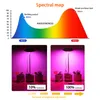 Grow Lights GREENSINDOOR Cultivation Indoor Red Blue Timer Light USB Phytolamp For Plant Flower Succulent Growing Lamp With Stand