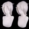 Nouveau populaire argent blanc argent inversé cheveux courts faux cheveux cosplay perruque