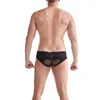 Caleçon Qinghe sous-vêtements en dentelle pour hommes bas Sexy couverture de bite taille basse slip en maille Short adulte Gay