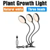 Cultiver des lumières LED Phytolamp serre tente lumière hydroponique système de culture culture intérieure Phyto lampe pour plantes graines de fleurs