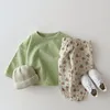 Skjortor baby outfits bebes född tjej pojke fast färg tecknad öron långärmad uppsättning kläder kostym höstflickor t-shirt tröja