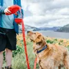 Les colliers pour chiens vendant des fournitures pour animaux de compagnie sont livrés avec une laisse de bouteille d'eau marchant trois en un portable