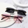 2021 New Punk Random sunglass Random rectangle Men Women vintage shad Ride without glass Frameloze Gradient ModeQPMG