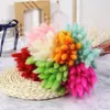 Decoratieve bloemen 30 pc's natuurlijke gedroogde rabbittail boeket rustieke bruiloft decoratie kerstkrans huis salon accessoires