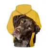 Erkek Hoodies Bern Mountain Dog 3d Baskı Gündelik Sevimli Kazak Hayvan Spor Gömlek ve Kadın Harajuku Ceket Üstleri