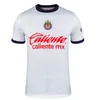 XXXL 4XL 2024 2025 MX Chivas Deportivo Guadalajara Soccer Jerseys Edition I. Brizuela A. Vega G. Sepulveda J. Angulo F. Beltran L. Olivas J. Molina Football Shirt