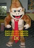 Niedliches Brown Kong Kim Vajra Maskottchenkostüm Orang-Utan-Affe mit braunen Spiralhaaren und langer roter Krawatte Nr. 4813