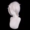 Nouveau populaire argent blanc argent inversé cheveux courts faux cheveux cosplay perruque