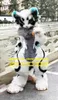 Schwarz-Weiß-Maskottchen-Kostüm mit langem Fell, pelziger Wolf, Husky-Hund, Fuchs-Fursuit, Zeichentrickfigur für Erwachsene, Eröffnungssitzung, Großveranstaltungen zz7590246Y