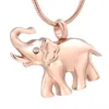 Kedjor kremering smycken för aska elefant form minneshänge rostfritt stål minnessen urn halsband husdjur kvinnor män