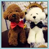 Dog Apparel Dog Pet Bowties Genteel Bowknot Handsome Neck Tie Cat Ties Collars Grooming Supplies 96 J2 Drop Delivery 2022 Home Garden Dhjn7