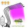 Cultivar luz USB LED LED Full Spectrum Plant Bulbo Fitolamp Greenhouses