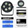 Dual Head Solar Wall Lights Outdoor LED Landscape Spot Light 2-i-1 vattentät solenergi