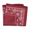 1PC Fashion Square Mandkerchief pour hommes imprimé vintage Jacquard Polyester Suit Pocket Pocket pour affaires J220816