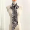 Halsdukar genovega vinter kvinnors mode chiffong strip polyester schal för kvinnlig lyx lång tryck fjäderdam smal halsduk
