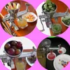 Juicers multifunctionele tarwesgrass sinaasappel appel groentefruit juices sap machine groothandel