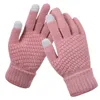 Heren- en dames herfst kerstfeest Geschenkhandschoenen Winter Outdoor Non Slip Elastische gebreide wol zoals handschoen LK328