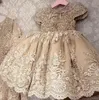 Gold Champagne Princess Girls Pageant Dresses Jewel Neck Cap Sleeves Lace Appliques Pearls Flower Girl Dress Party First Communion Gowns Back With Bow