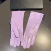 P bRAND Classic Bow Sheepskin Gloves Hardware Mittens Women Outdoor Warm Glove Touch Screen Plush Mitten For Ladies Birthday Gift7795015