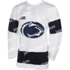 Penn State Nittany Hockey Jersey 13 Никита Павлычев 14 Нейт Сусезе 17 Эван Барратт 18 Бретт Мюррей 19 Дериан Гамильтон Сшитый