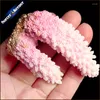 Pendanthalsband Natural Stone Raw Pink Coral Necklace Druzy Drusy Elestial Skeletal Cluster Prov Fit smycken Making 336