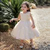 Girl Dresses Children Flower Tutu Dress For 1-5 Years Girls Wedding Birthday Party Kids Lace Champagne Gown Costume Clothing Vestidos