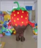 2022 Red Strawberry Mascot Costume Animal Costume Christmas Wholesale Mascot Fancy Dress Costumes For Halloween Party Event