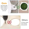 Strips Cornhole Light LED Ring Lights White Portable Dimmerable Universal Night Sandbags Sandbag Live Broadcast Selfie Lighting