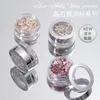 Glitter de unhas 4pcs/conjunto brilhante pó holográfico shell mica fatias