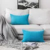 Capordo de capa nórdica de travesseiro para sofá sala de estar house de coussin 45 travesseiros decorativos decoração