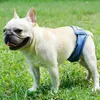 犬のアパレルペットおむつパンツ吸水吸収防止防止用通気性男性犬の衛生パンティー4シーズンの衛生パンティー