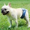 Ropa para perros, pañales para mascotas, pantalones, absorbentes de agua, antiacoso, transpirables, para perros, bragas sanitarias para las cuatro estaciones