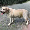 犬のアパレルペットおむつパンツ吸水吸収防止防止用通気性男性犬の衛生パンティー4シーズンの衛生パンティー