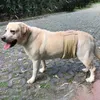 Ropa para perros, pañales para mascotas, pantalones, absorbentes de agua, antiacoso, transpirables, para perros, bragas sanitarias para las cuatro estaciones