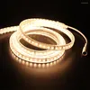 Strisce 5m Led Strip Light Con DC SMD2835 120Leds/m Tubo Impermeabile 12V Super Bright 2835 Nastro Bianco Caldo/Bianco