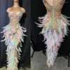 Desgaste de palco Vestido longo com estampa brilhante de penas Fantasia de drag queen Baile de formatura Comemoração de aniversário Roupa sexy Rosa elegante