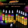 Badtillbeh￶r Set Tattoo Pigment Ink Practice 30 ml 25 Color Learning Dye Accessories SP