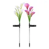 Creative Solar Lawn Stake Lamp Simulation Calla Lily Flower Light Powered Outdoor Garden Decoration