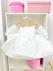 Robes de fille fleur blanche gros nœud Organza à manches longues petite robe de mariée Communion Pageant robes d'anniversaire