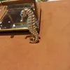 Broches Amorita Boutique Goat Design Trendy Jewelry Gold Color Sea Horse