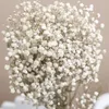 Flores decorativas 120g de gesso seco do bebê Fleurs Sechees Flores decoração artificial decoração de Natal Decoração de casamento