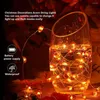 Strängar Thanksgiving Fall Acorn Light String 3M 30LEDS Vattentät 3D Pumpkin Lantern Batteri Powered For Party Xmas Garland