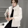 Women's Fur 2022 Autumn Winter Faux Coat Short Fashion Imitation Mink Korean L￶st l￥ng￤rmad jacka Y645