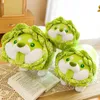 Plush Dolls Cabbage Shiba Inu Dog Cute Vegetable Fairy Anime Toy Fluffy Stuffed Plant Soft Doll Kawaii Pillow Baby Kids Toys Gift 221024